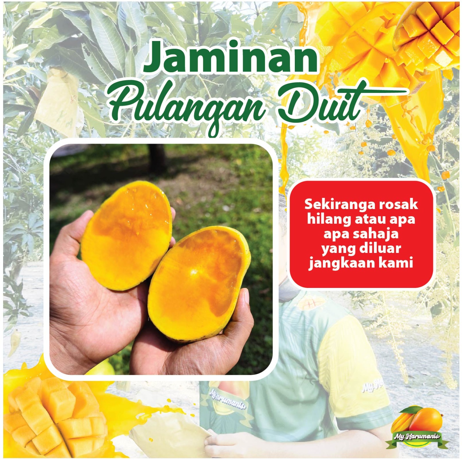 WhatsApp Image 2026-01-07 at 11.03.50 AM (1)