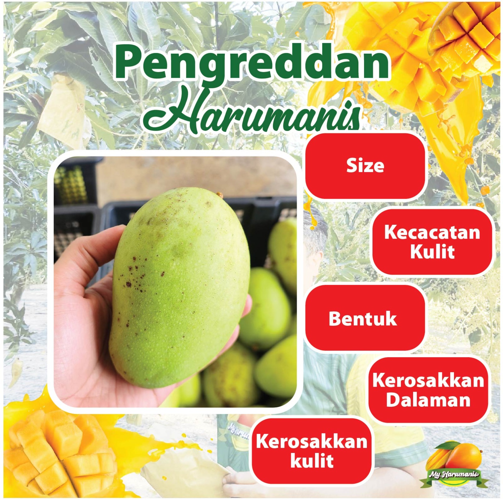 WhatsApp Image 2026-01-07 at 11.03.50 AM (2)