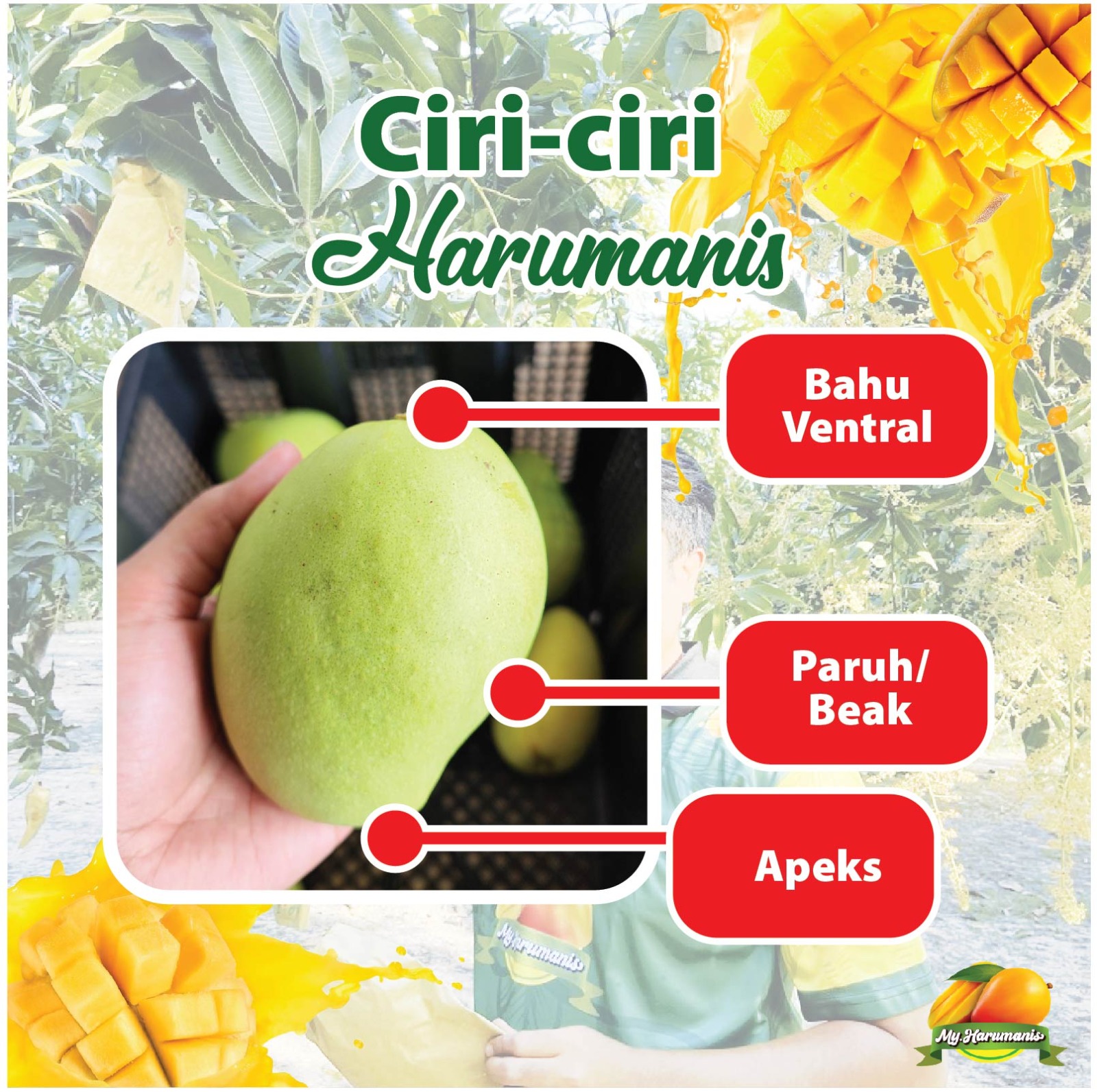 WhatsApp Image 2026-01-07 at 11.03.51 AM (1)