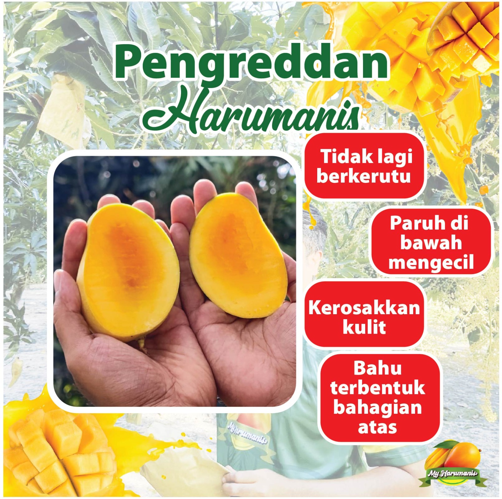 WhatsApp Image 2026-01-07 at 11.03.52 AM